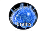 BRAINS- Baseline para Redes de Acceso al medio Integradoras de Sensores