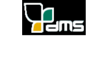 DMS Desarrollo de Medios y Sistemas